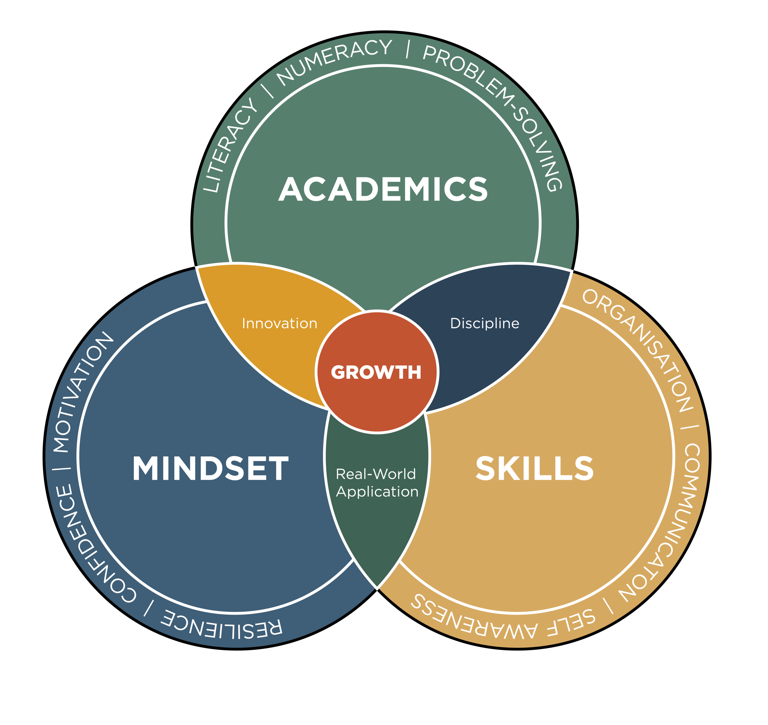 A Venn diagram titled 'Vitalise' showing the intersection of three circles: Academics, Mindset, and Skills. The center where all three overlap is labeled 'Growth.' Intersections between two circles include Innovation, Discipline, and Real-World Application.
